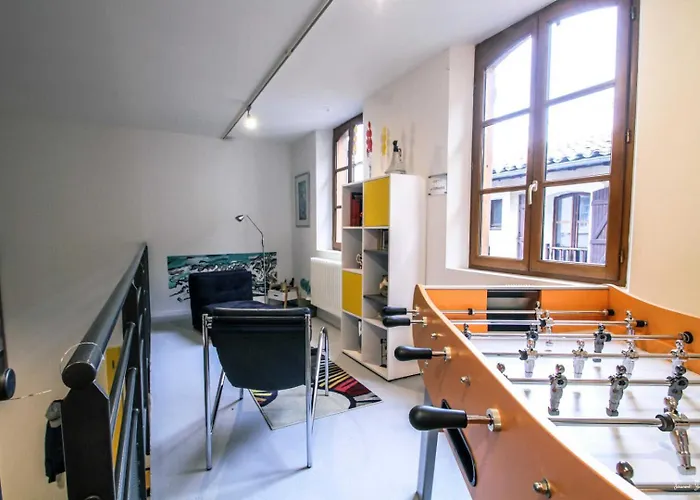 Loft 17 Appartement Lisle-sur-Tarn