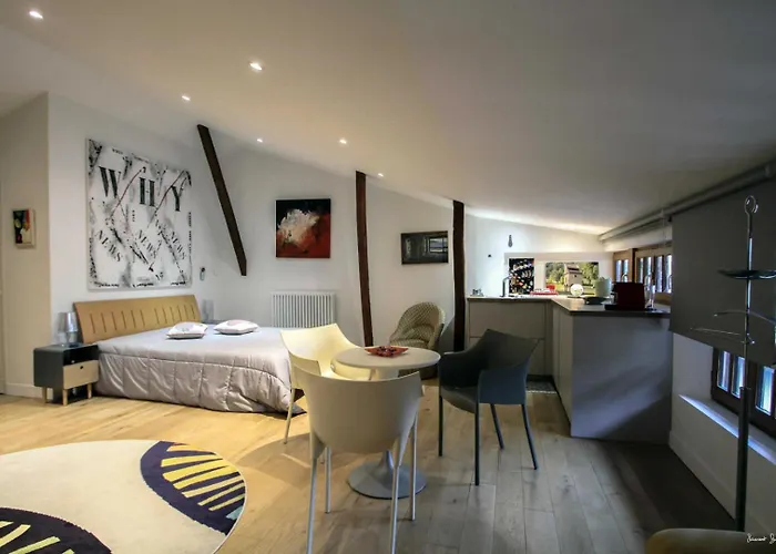 Appartement Loft 17 Lisle-sur-Tarn