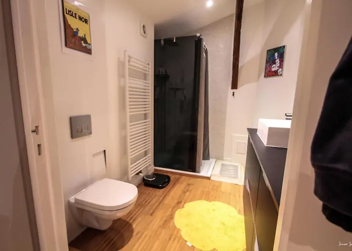 Appartement Loft 17 *